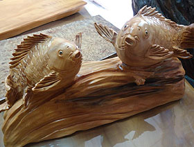 台灣檜木魚